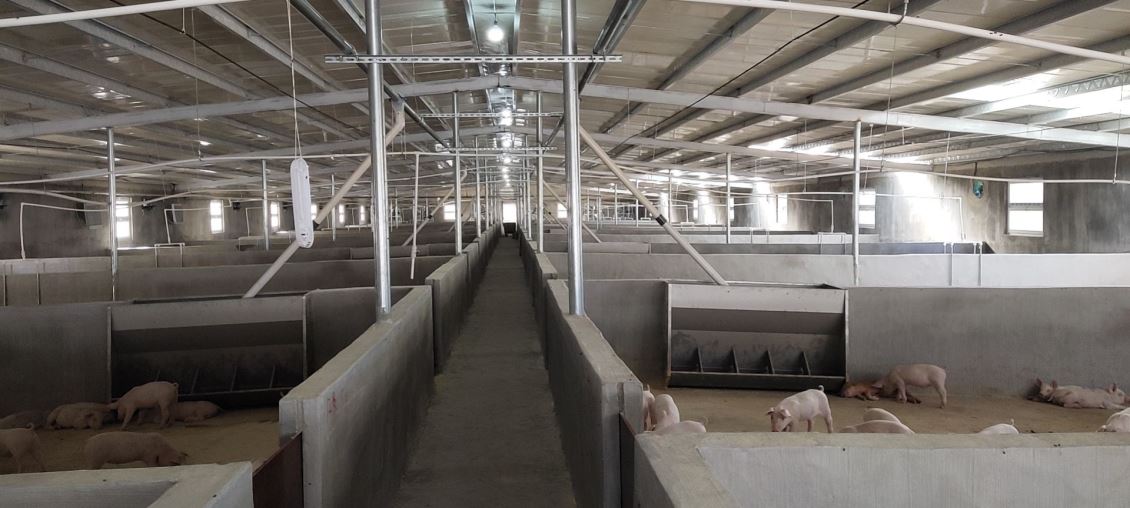 如何评估浙江养猪场除臭的效果，并进行持续的优化和改进？